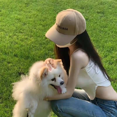 金牌贱猫：重新出击